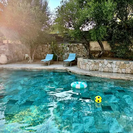 Villa L'alivu *